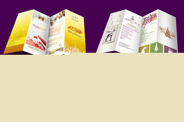 4696893466_304806107